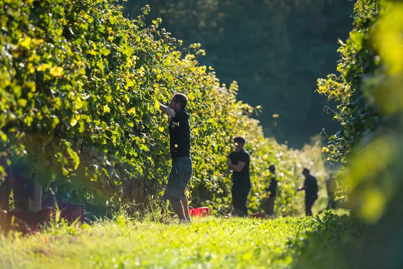 Stessa cura, nuova consapevolezza — al Canevon